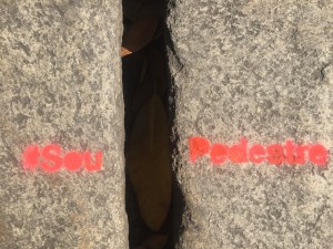 IMG_3611